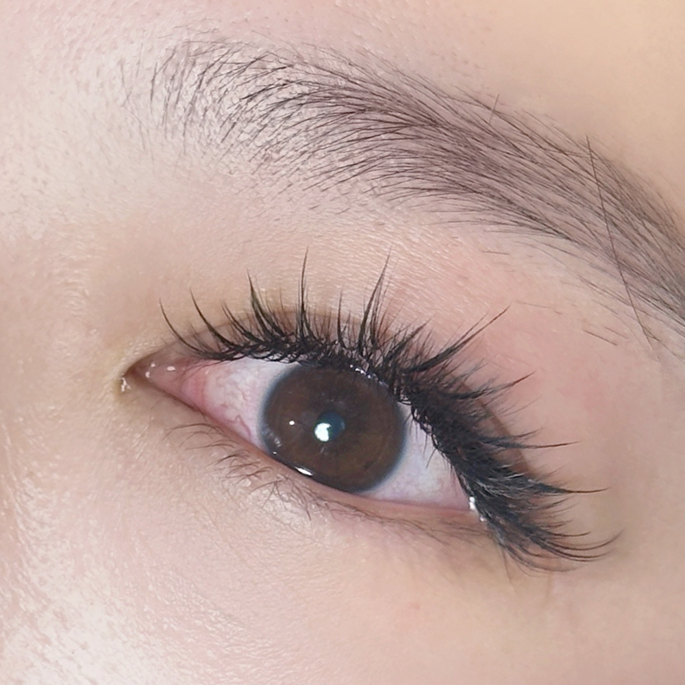 Sunflower Lashes