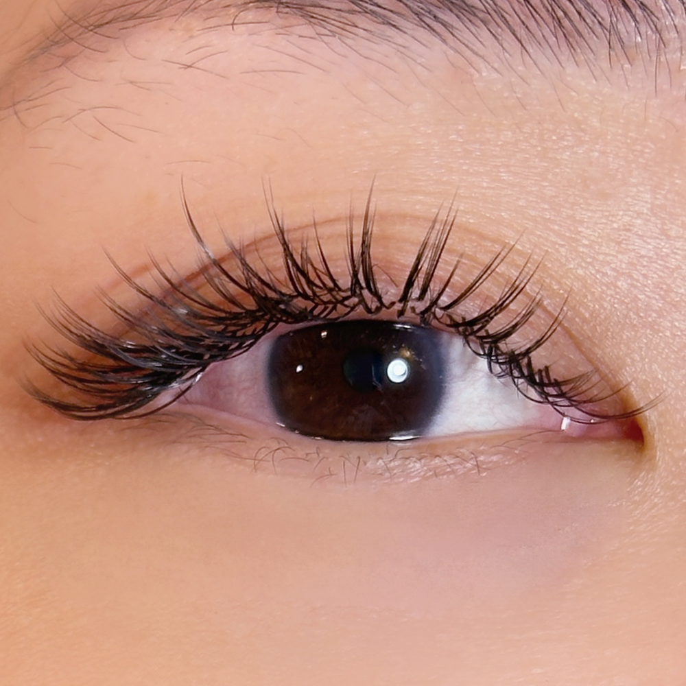 Wispy Fringe Lashes