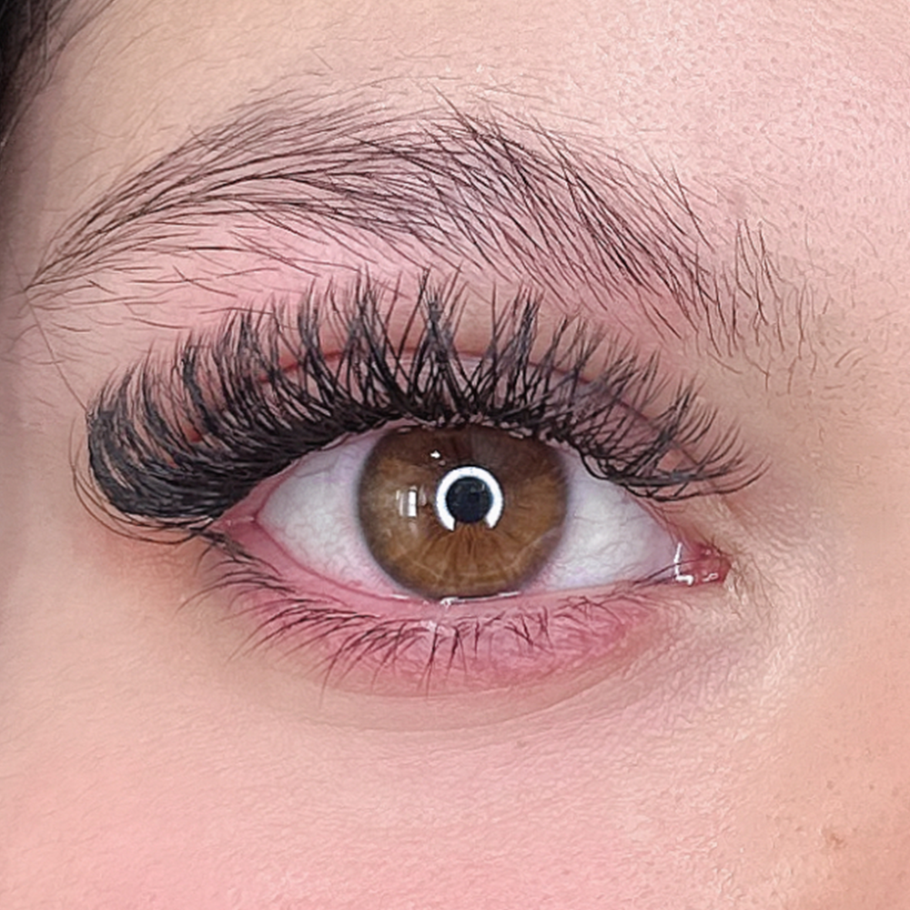 YY Overlapping / Clover Lashes